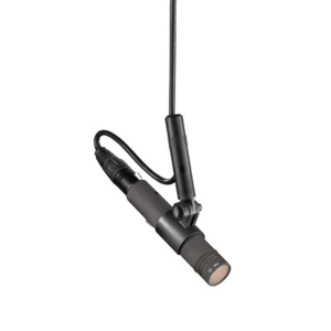 KK_183_+_KM_Ax1_desktop_MNV21mt-KM184Anx-1_Neumann_G